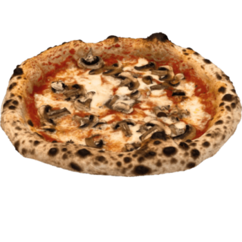 Pizza Funghi